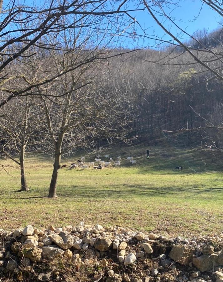 Soko Holiday Home Bihać Kültér fotó