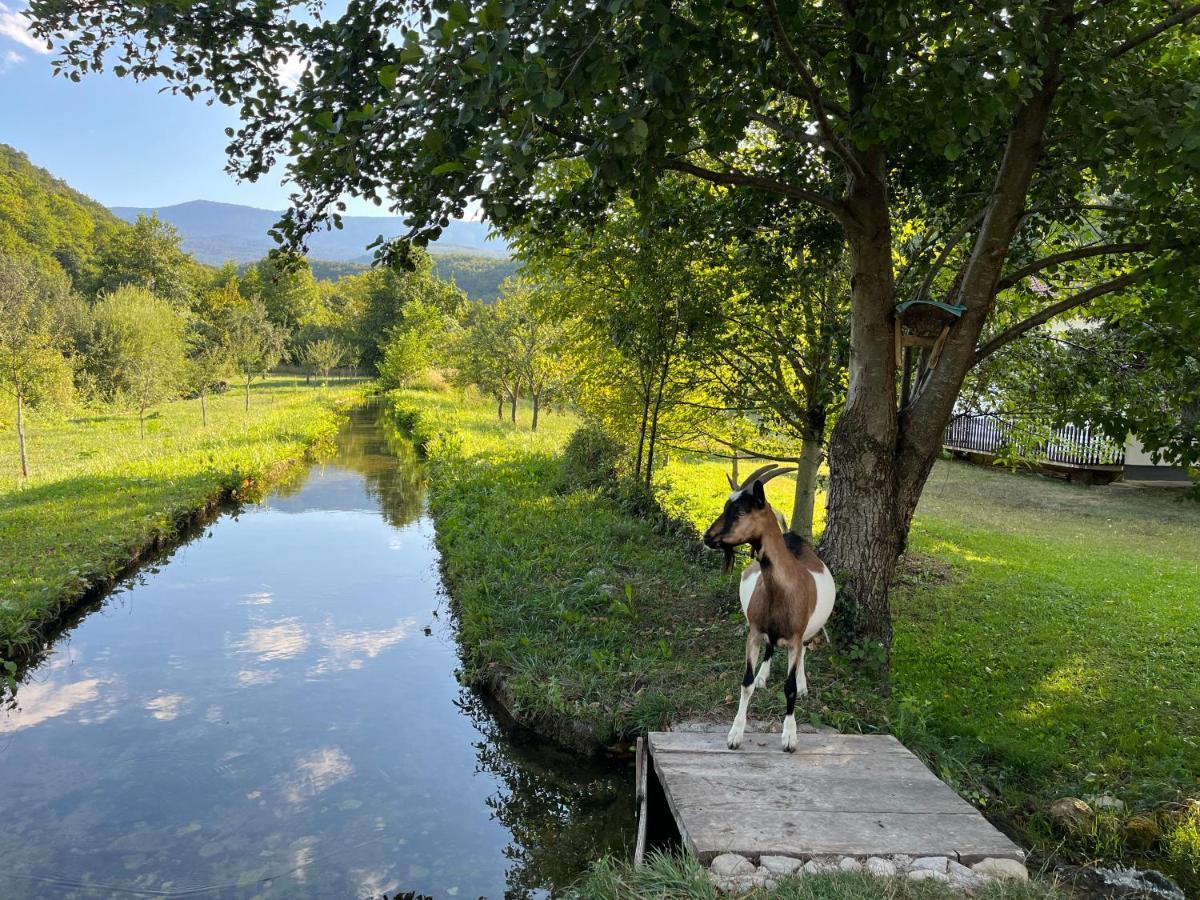 Soko Holiday Home Bihać Kültér fotó